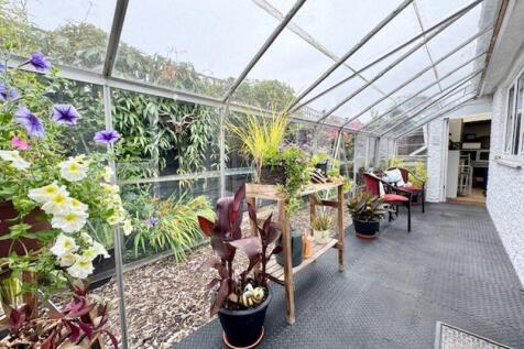 Lean to greenhouse
