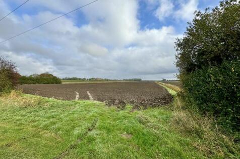 Field views