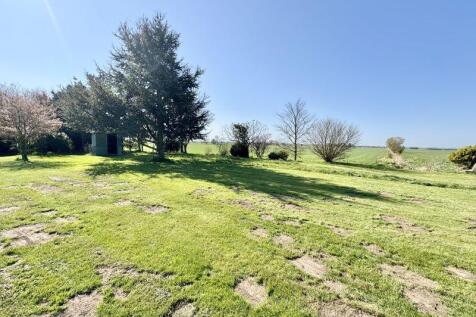 Garden 4