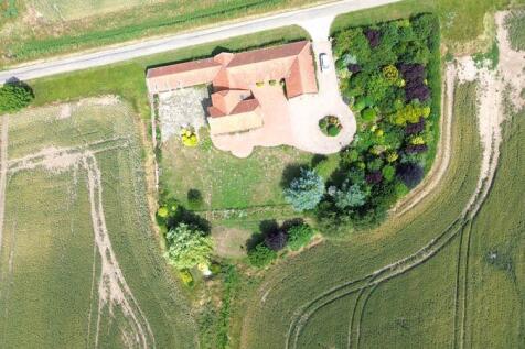 Ariel view