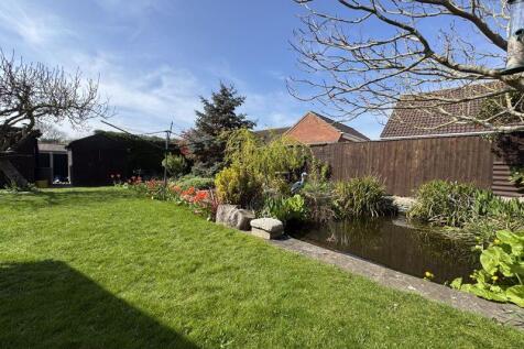 Garden view 3