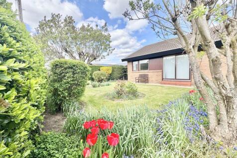 Front garden 2