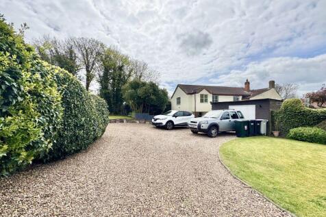 Driveway view