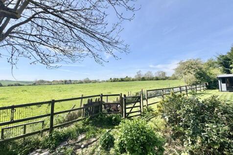 Field view