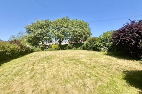 front garden 2