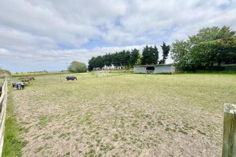 Paddocks view