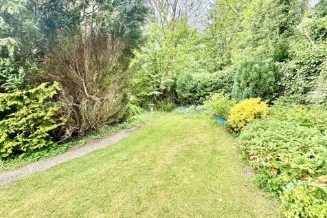 Back of garden