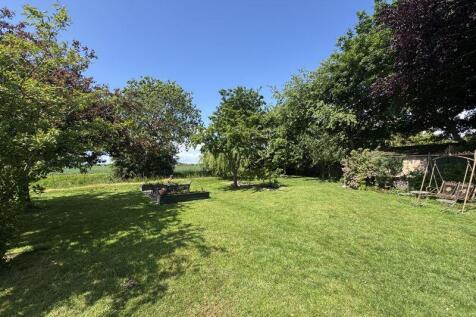 Garden view 2
