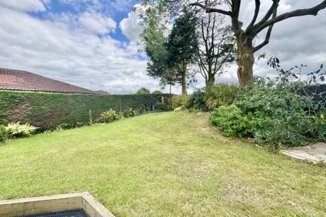 Garden view 2