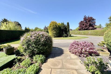 Driveway view 2