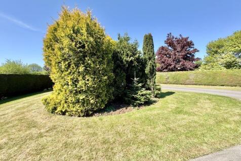 Circular lawn view