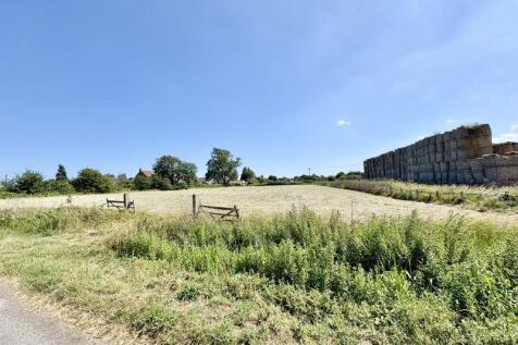 Opposite paddock view