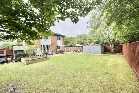 Rear garden view