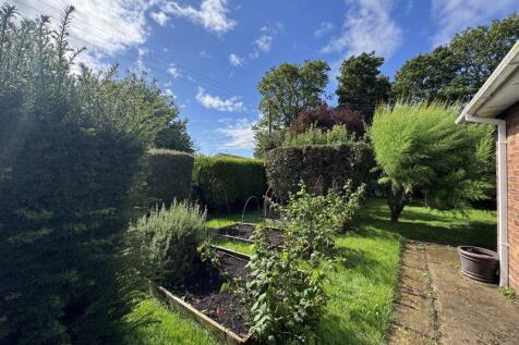 Front allotment