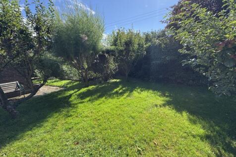 Mature garden