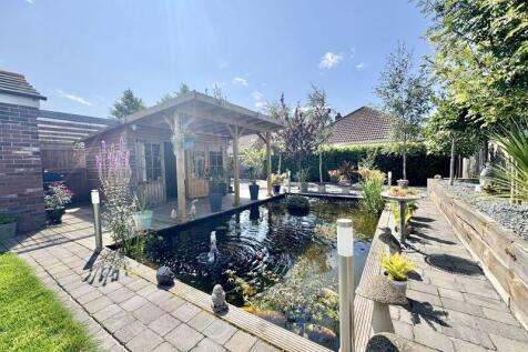 Pond 