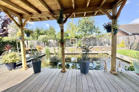 Pond view