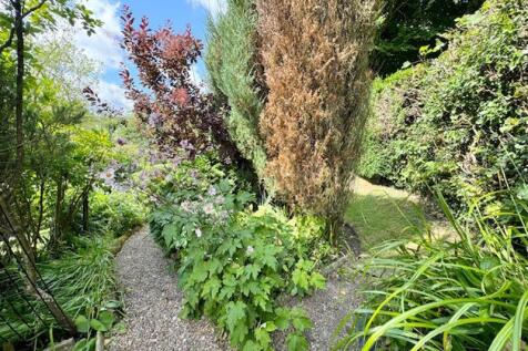 Garden view 4
