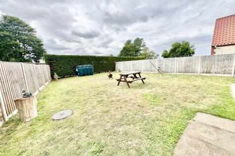 Rear garden 2
