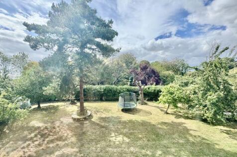 Front garden view
