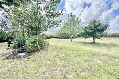 Garden view 2