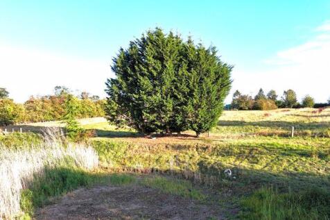 Pond rear view