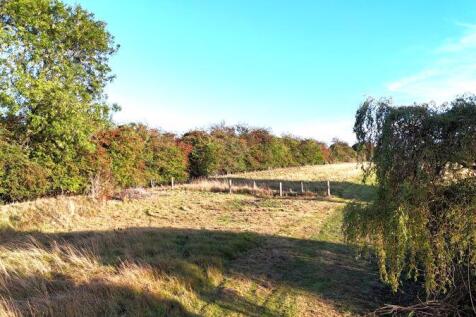 Rear field to pond