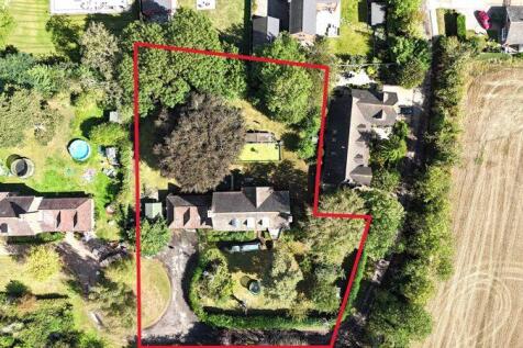 Plot view
