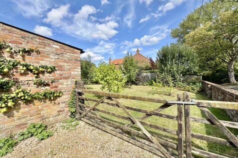 Orchard view