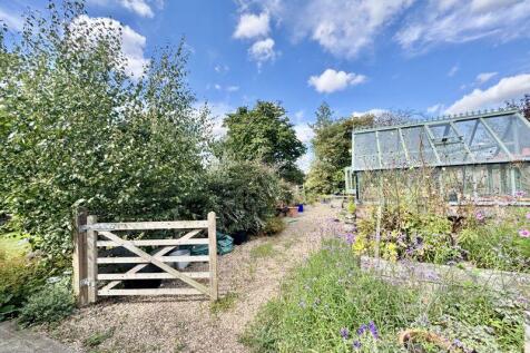 Nursery plant area