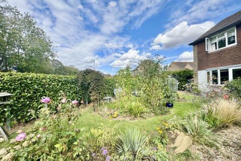 Front garden 2