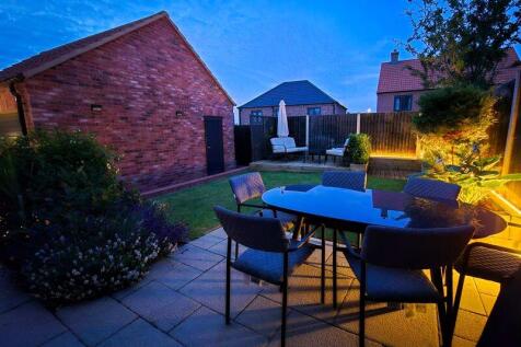 Garden with lighting
