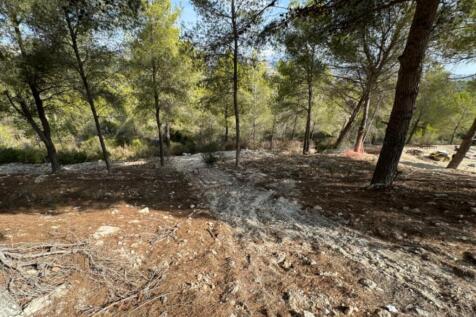 Property Image 29
