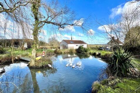 Pond