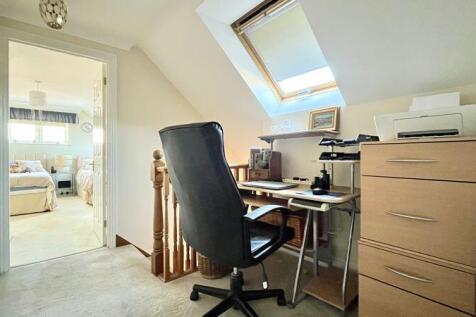 Study Area
