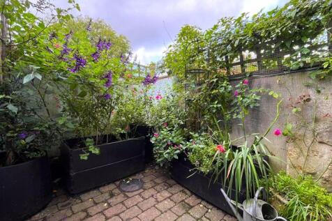 Rear Courtyard