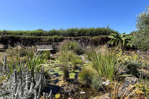 Wildlife Pond