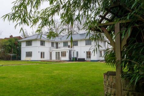Rear of Property