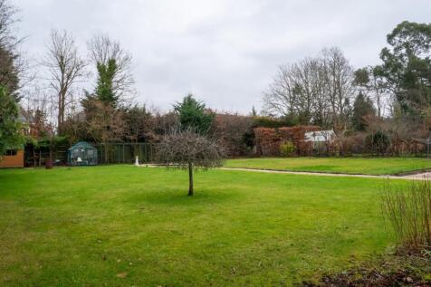 Rear Garden 2