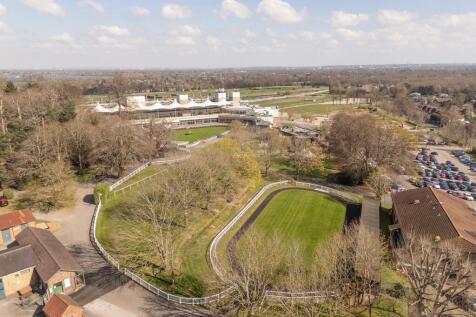 Aerial Shot 