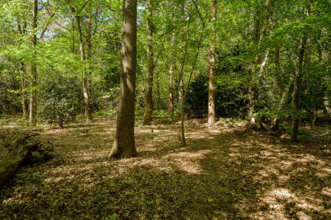 Property Image 32