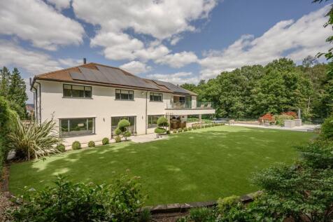 Astroturf Lawn