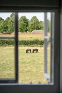 Your Neighbours