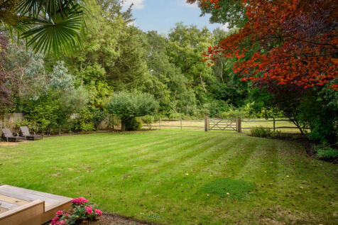 Large Lawn