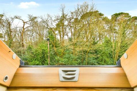 Woodland Views