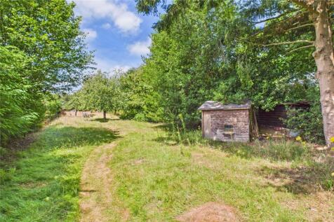 Orchard