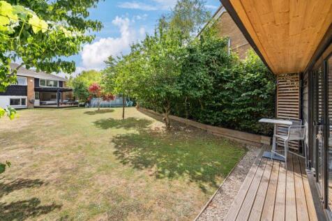 Garden from studio
