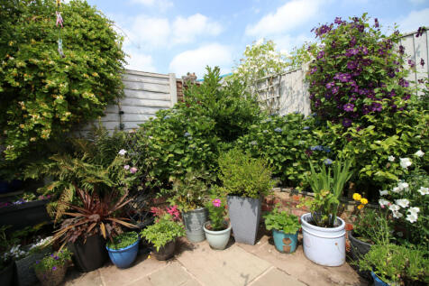 Property Image 14