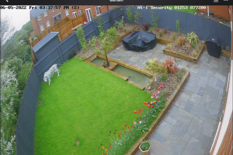 Property Image 27