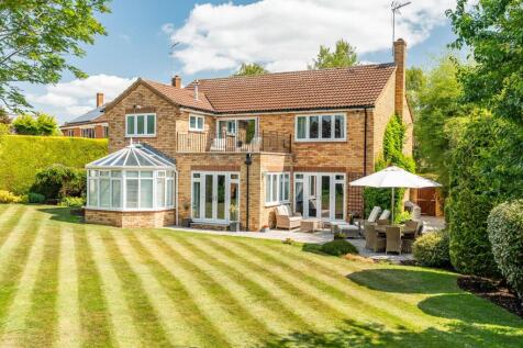 Property Image 34